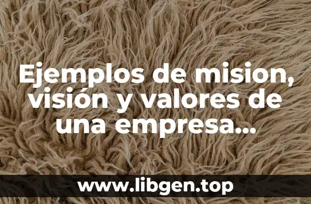 Ejemplos de misión, visión y valores de una empresa ecomputer