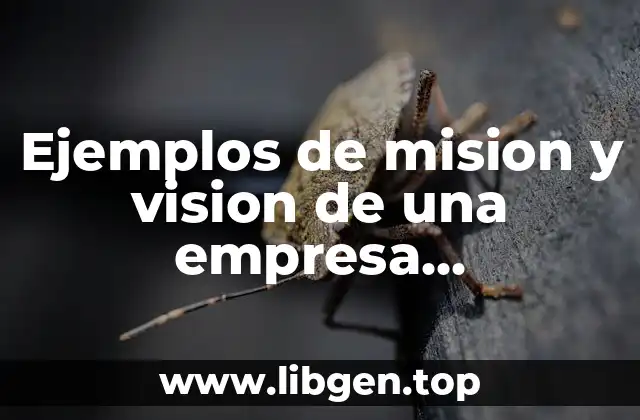 Ejemplos de mision y vision de una empresa inmobiliaria