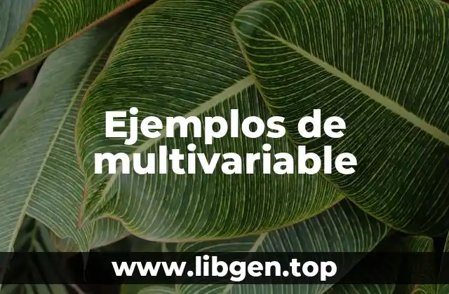 Ejemplos de multivariable