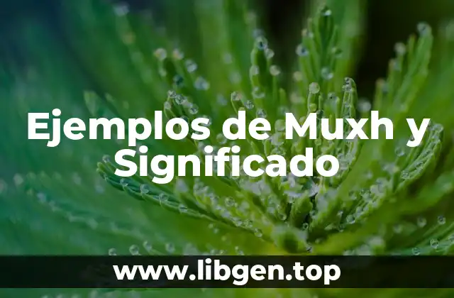 Ejemplos de Muxh y Significado