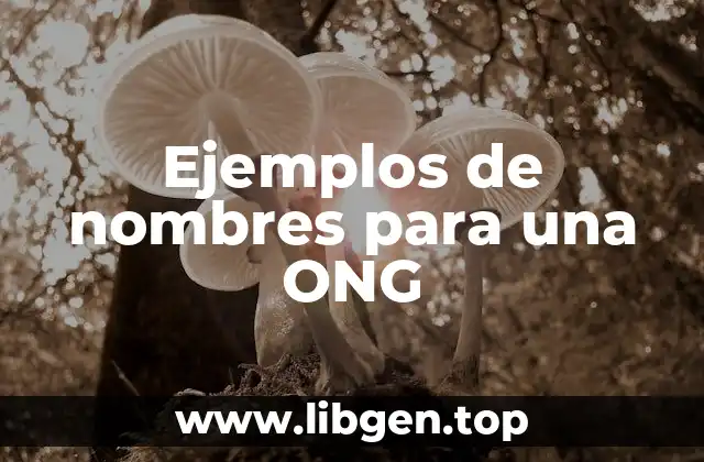 Ejemplos de nombres para una ONG