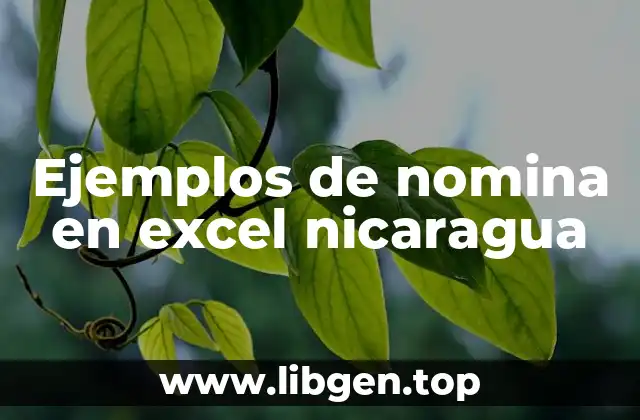Ejemplos de nomina en excel nicaragua