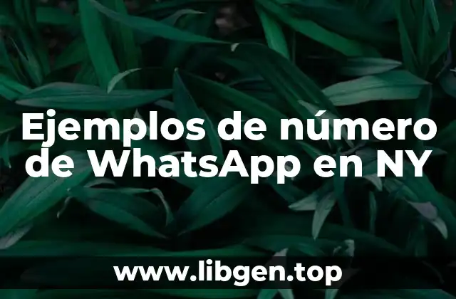 Ejemplos de números de WhatsApp en NY