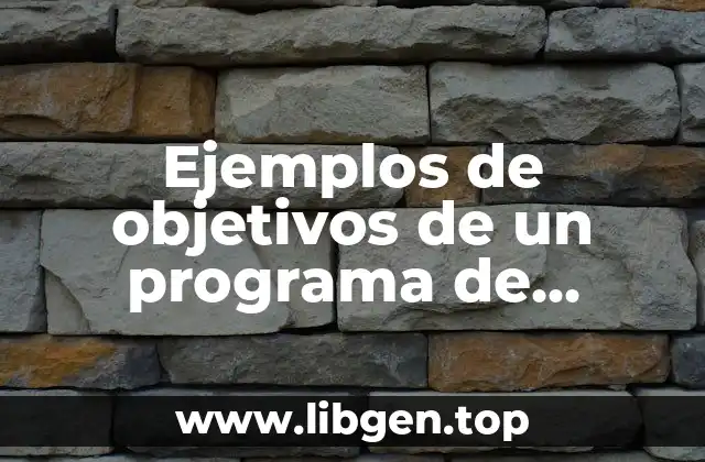 Ejemplos de objetivos de un programa de auditoría