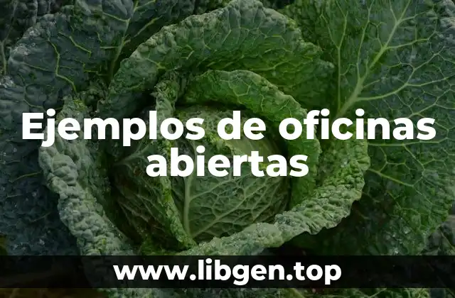 Ejemplos de oficinas abiertas