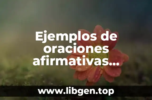 Ejemplos de oraciones afirmativas, interrogativas y negativas en inglés
