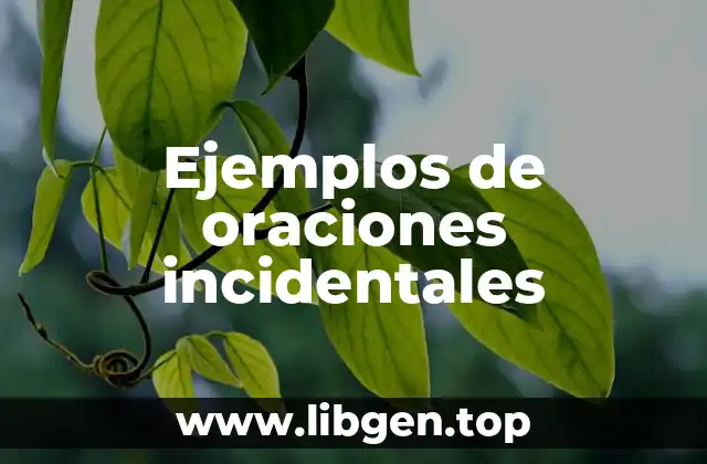 Ejemplos de oraciones incidentales