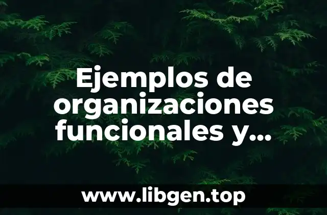 Ejemplos de organizaciones funcionales y Significado