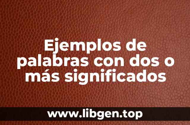 Ejemplos de palabras con dos o más significados
