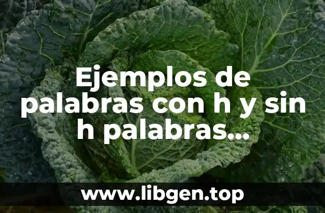Ejemplos de palabras con h y sin h palabras homofonas