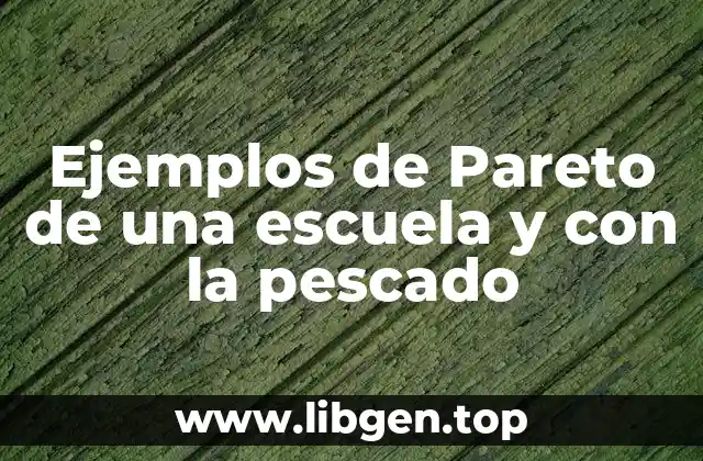 Ejemplos de Pareto