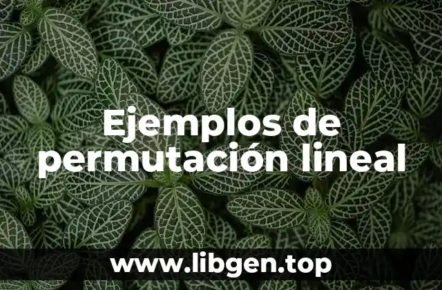 Ejemplos de permutación lineal