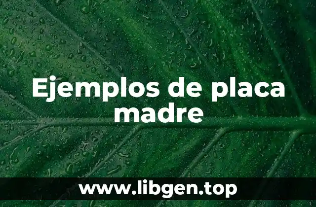 Ejemplos de placa madre