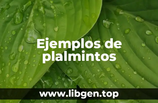 Ejemplos de plalmintos