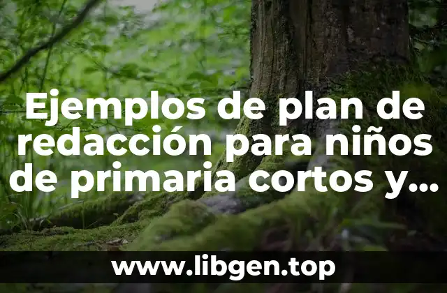 Ejemplos de plan de redacción para niños de primaria cortos y Significado