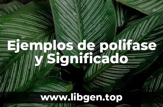 Ejemplos de polifase y Significado