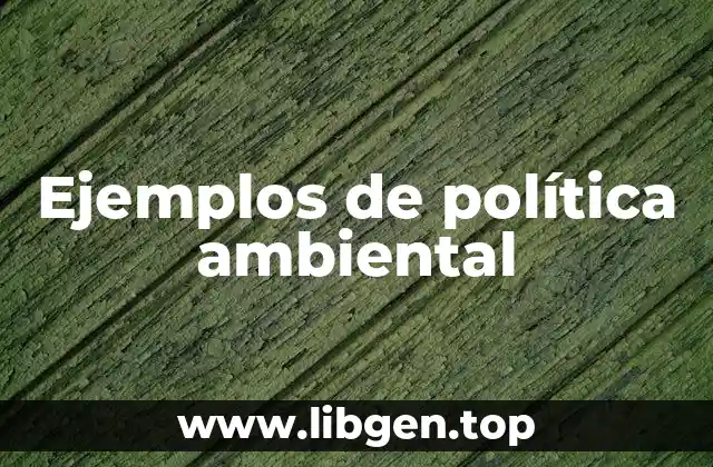 Ejemplos de política ambiental
