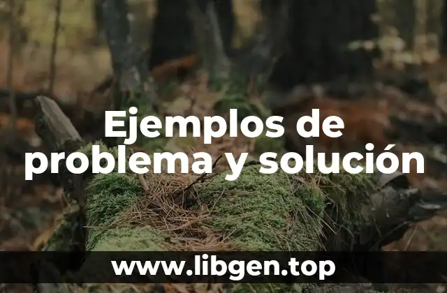 Ejemplos de problema y solución