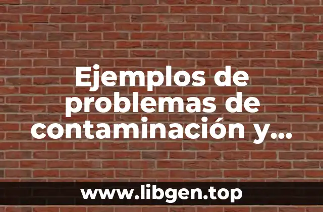 Ejemplos de problemas de contaminación y Significado