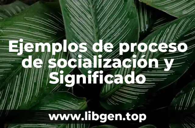 Ejemplos de proceso de socialización y Significado