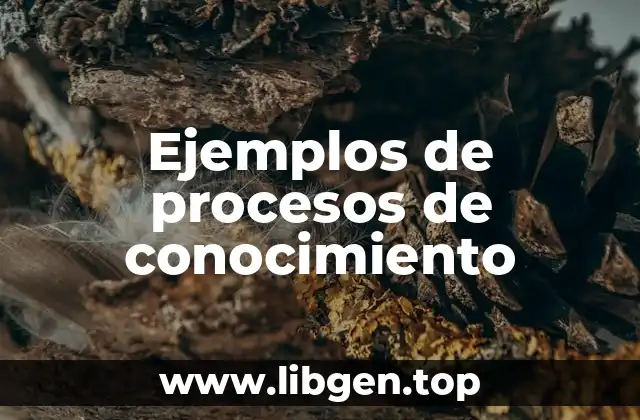 Ejemplos de procesos de conocimiento