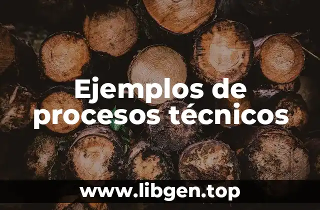 Ejemplos de procesos técnicos