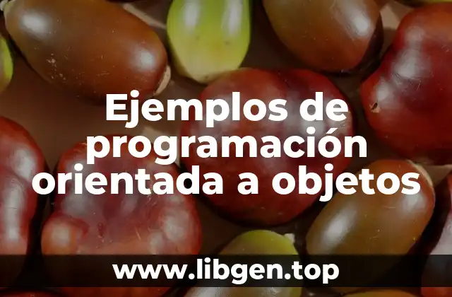 Ejemplos de programación orientada a objetos