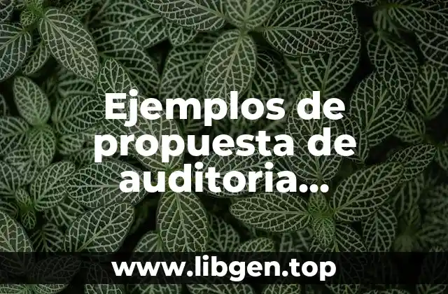 Ejemplos de propuesta de auditoria administrativa