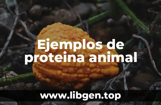 Ejemplos de proteina animal