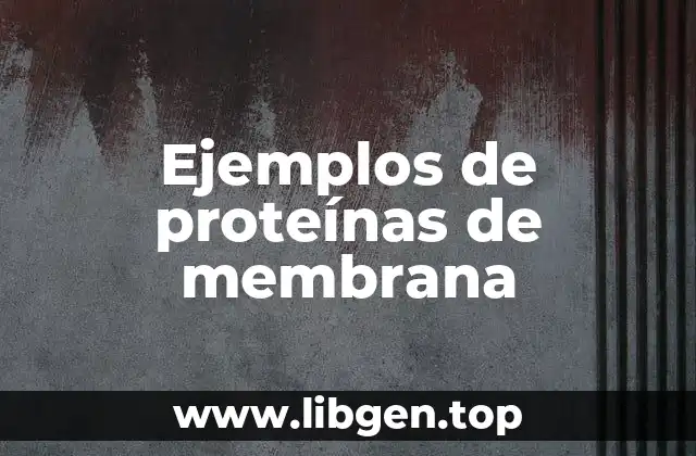 Ejemplos de proteínas de membrana