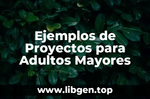 Ejemplos de Proyectos para Adultos Mayores
