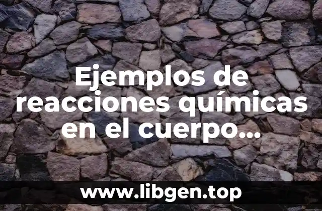 Ejemplos de reacciones químicas en el cuerpo humano con explicación y Significado