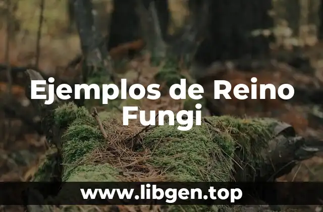 Ejemplos de Reino Fungi
