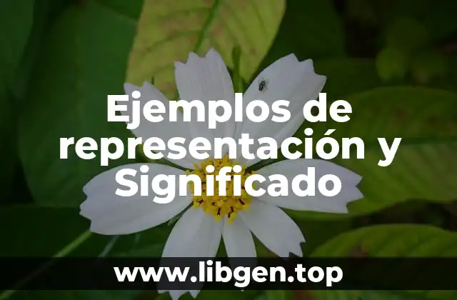 Ejemplos de representación