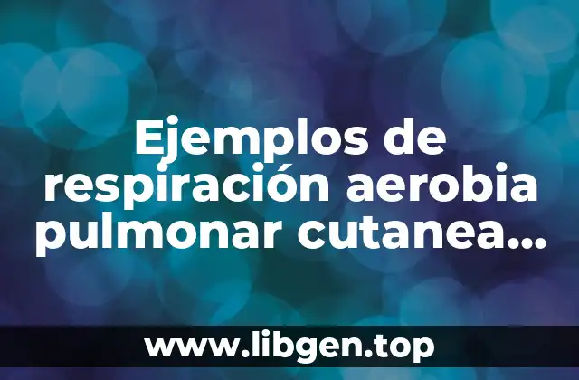 Ejemplos de respiración aerobia pulmonar cutanea branquial y traqueal