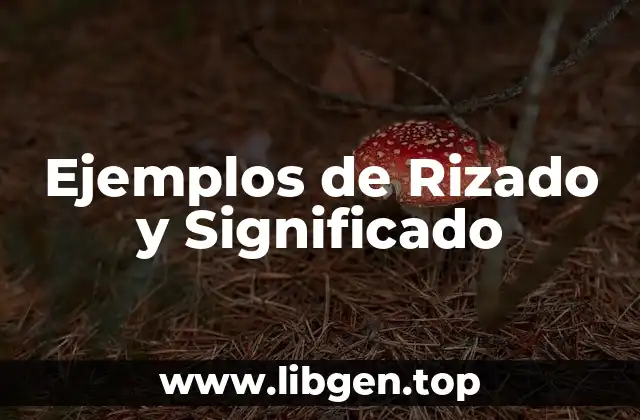 Ejemplos de Rizado y Significado