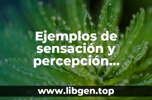 Ejemplos de sensación y percepción psicología