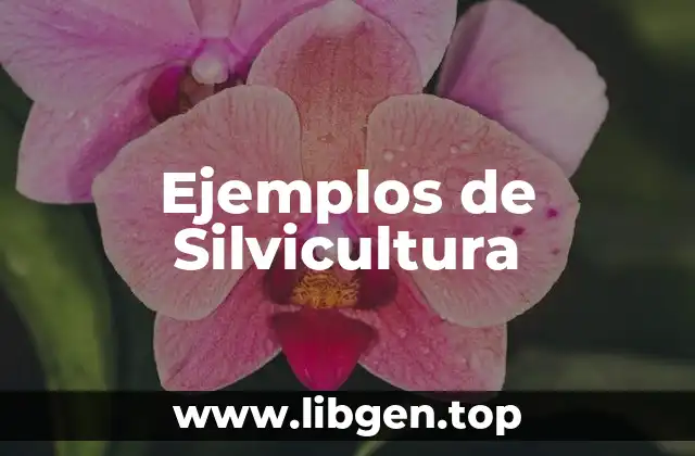 Ejemplos de Silvicultura