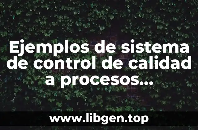 Ejemplos de sistema de control de calidad a procesos productivos