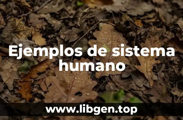 Ejemplos de sistema humano