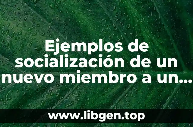 Ejemplos de socialización de un nuevo miembro a un grupo