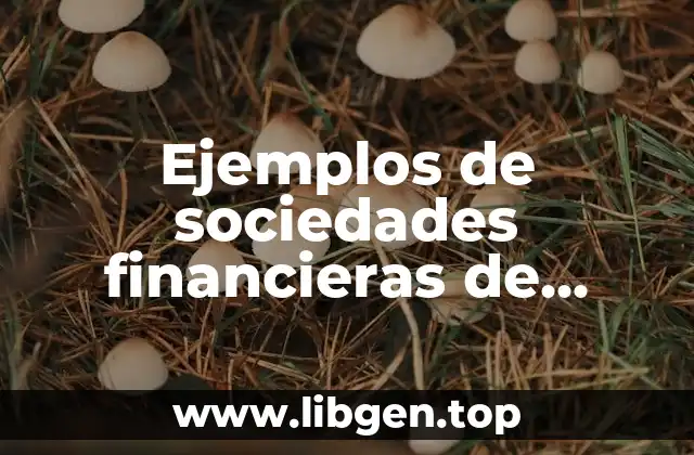 Ejemplos de sociedades financieras de objeto múltiple regulada y Significado