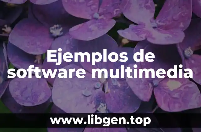 Ejemplos de software multimedia