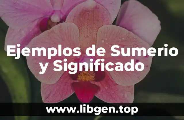 Ejemplos de Sumerio y Significado