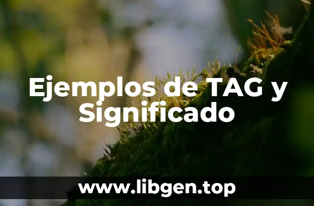 Ejemplos de TAG y Significado
