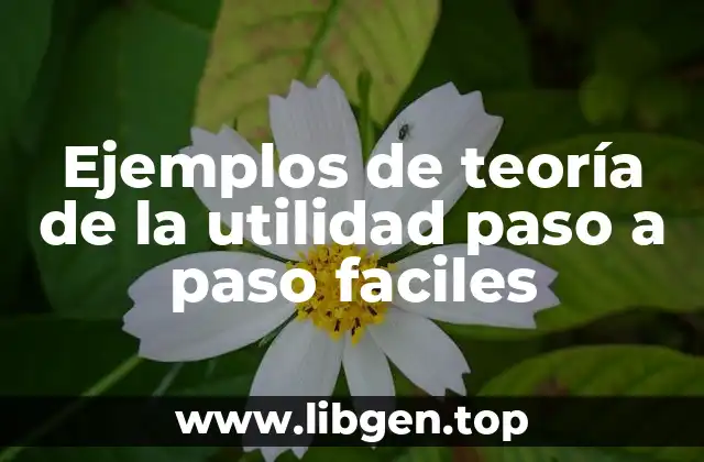 Ejemplos de teoría de la utilidad paso a paso faciles