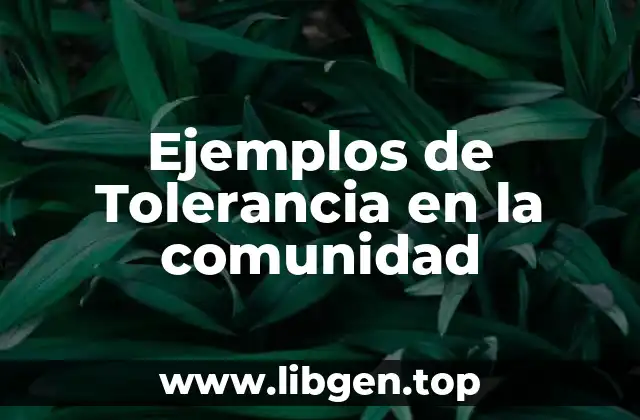 Ejemplos de Tolerancia en la comunidad