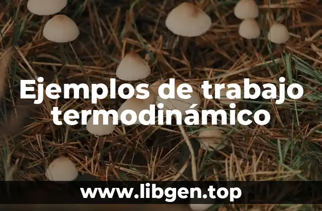 Ejemplos de trabajo termodinámico