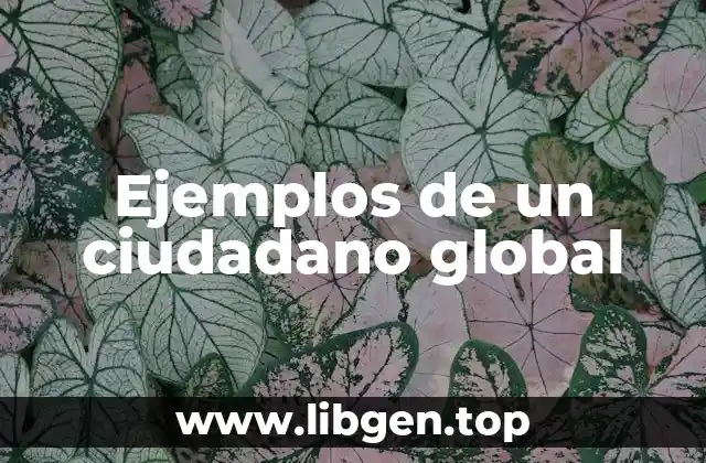 Ejemplos de un ciudadano global