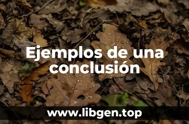 Ejemplos de una conclusión